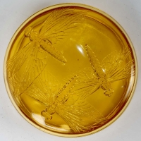 Boîte &quot;Libellules&quot; verre jaune ambré de René LALIQUE