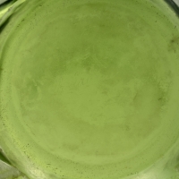 Vase &quot;Sauterelles&quot; verre vert absinthe patiné blanc de René LALIQUE