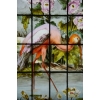 2 PAIRES DE VITRAUX HÉRON, IBIS, ROSE TRÉMEIÈRE, CAPUCINE, CLÉMATITE VERS 1900 2 PAIRES DE VITRAUX HÉRON, IBIS, ROSE TRÉMEIÈRE, CAPUCINE, CLÉMATITE VERS 1900