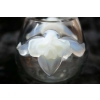 Lalique France Vase "orchidée" opalescent Lalique France Vase "orchidée" opalescent