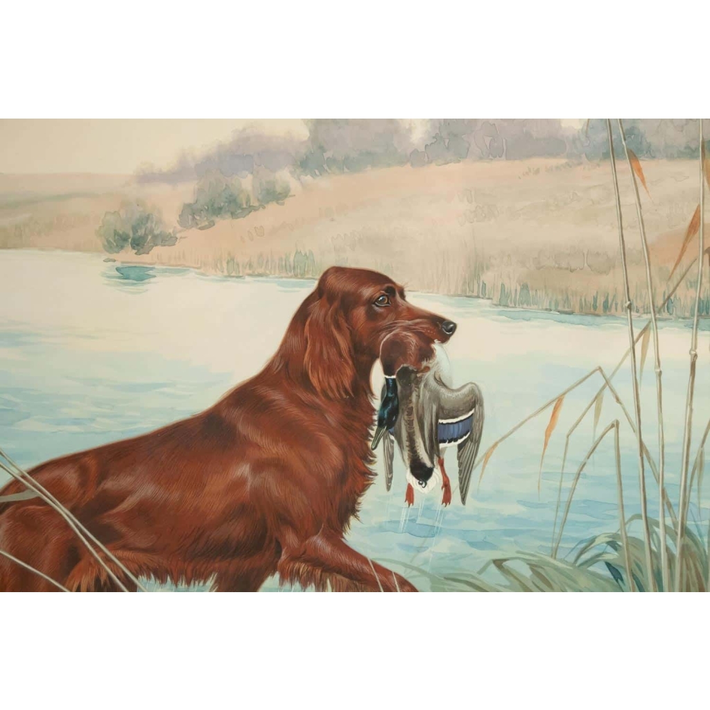 Boris RIABOUCHINSKY, dit RIAB (1898-1975) Gouache "Setter & Canard" Boris RIABOUCHINSKY, dit RIAB (1898-1975) Gouache "Setter & Canard"