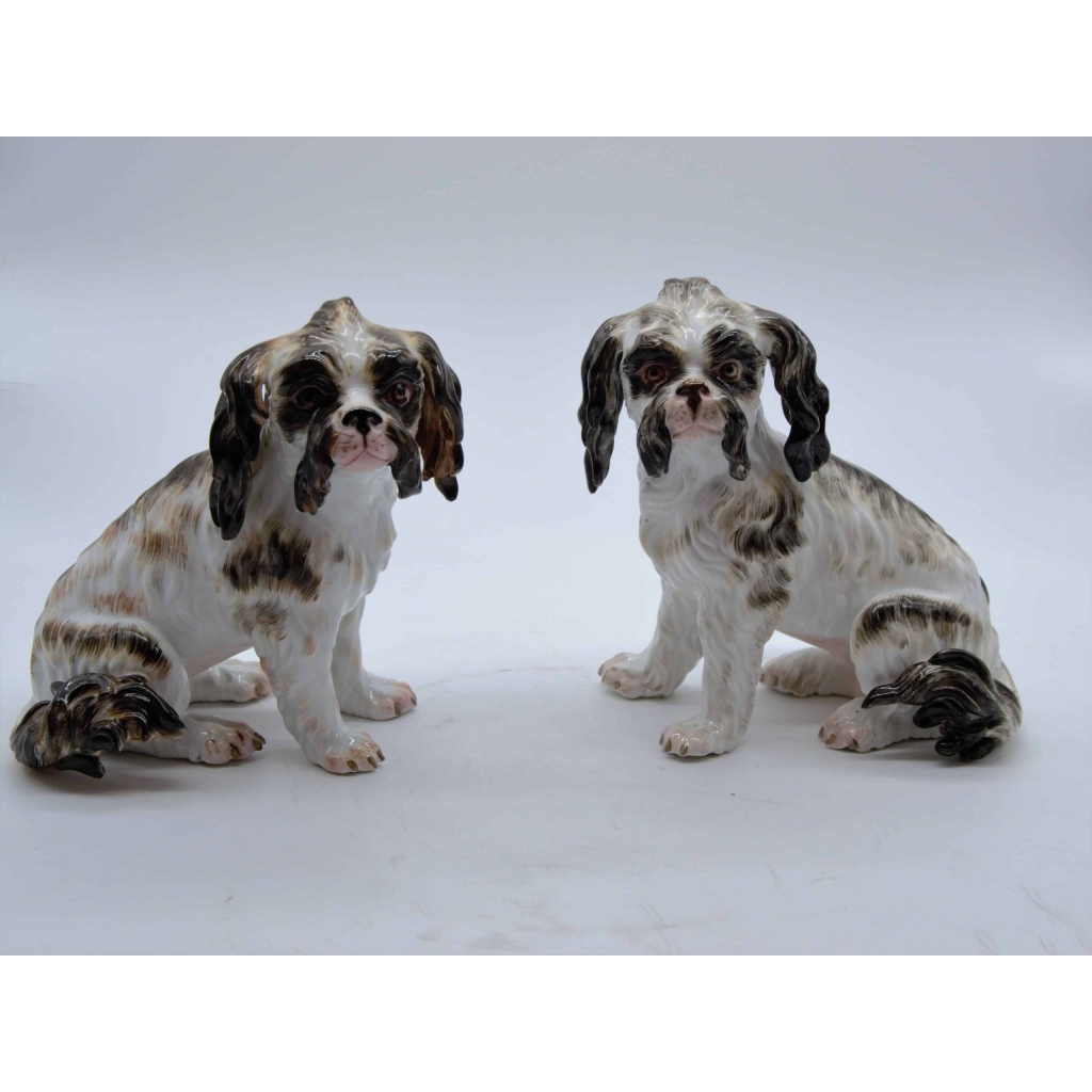 Couple de Cavalier King Charles en porcelaine, Meissen XIX |