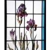 VITRAUX VITRAIL ROSES TREMIERES IRIS V97 VITRAUX VITRAIL ROSES TREMIERES IRIS V97