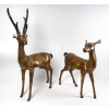 Un cerf et une biche en bronze |||||||||||||||||