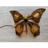 1970’ Applique Papillon en Bronze ou Laiton, Duval Brasseur Ou Isabelle Faure, 4 Ampoules, Ailes d’Agate 1970’ Applique Papillon en Bronze ou Laiton, Duval Brasseur Ou Isabelle Faure, 4 Ampoules, Ailes d’Agate