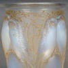 1924 René Lalique - Vase Ceylan Verre Opalescent Patiné Sépia 